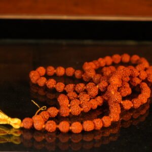 Rudrakash Mala